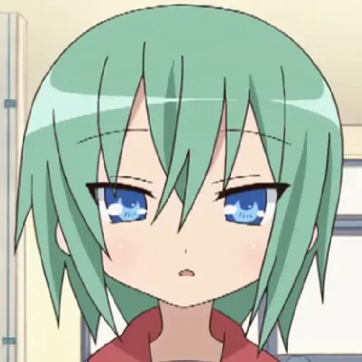 Minami Iwasaki (Lucky Star)
