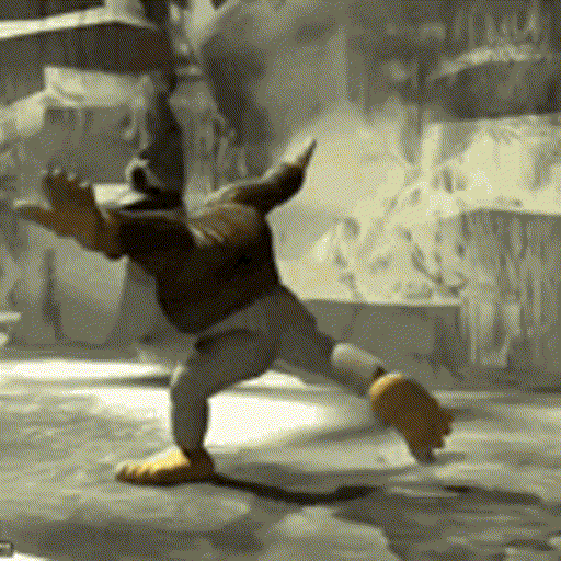Kong Fu - Donkey Kong Country