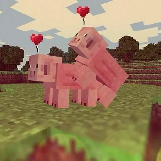 Minecraft Pig