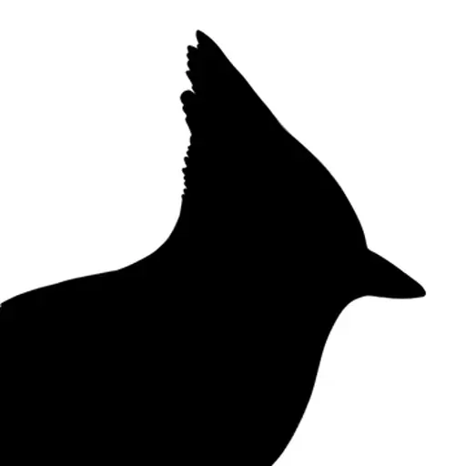 TheStellarJay